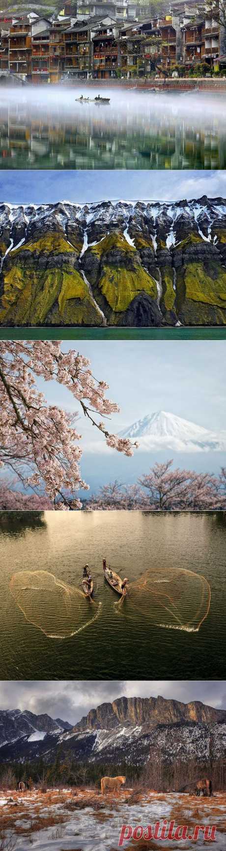 Лучшие фотографии National Geographic / Всё самое лучшее из интернета