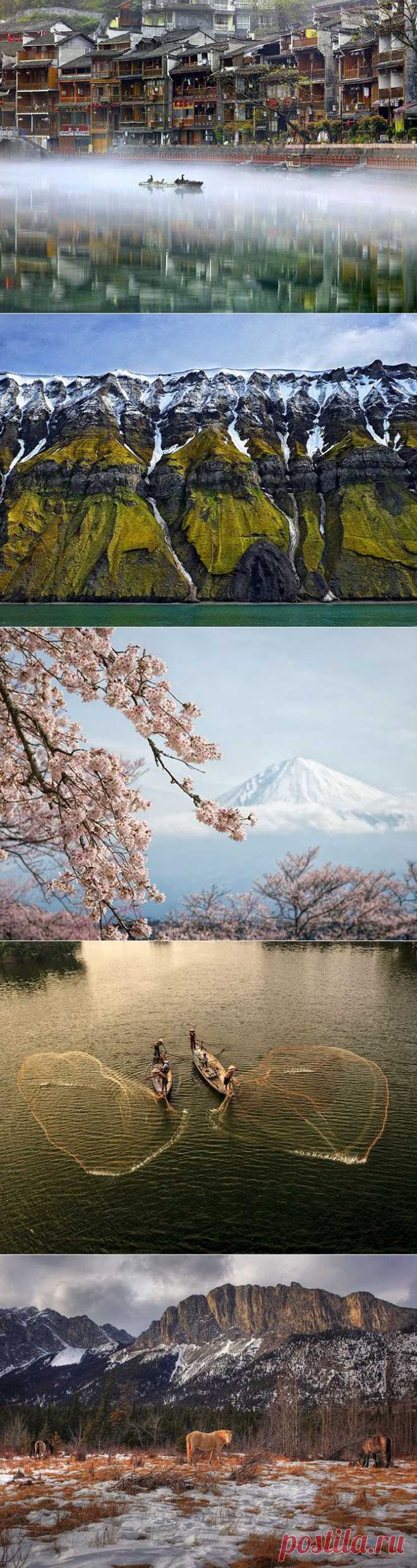 Лучшие фотографии National Geographic / Всё самое лучшее из интернета