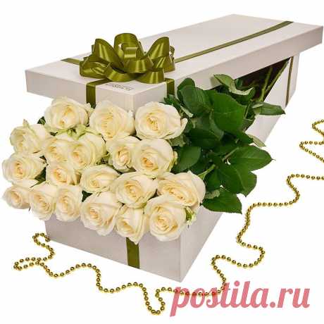 (5) Facebook