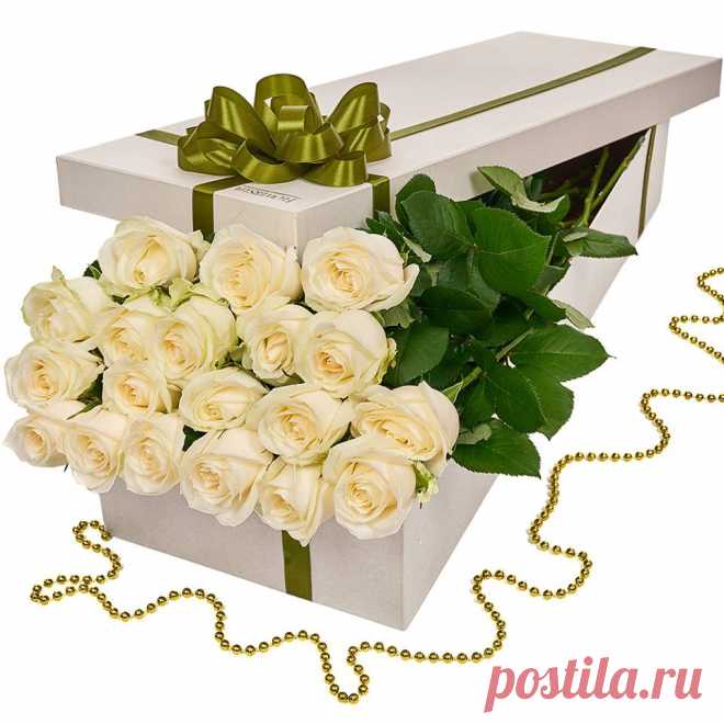 (5) Facebook