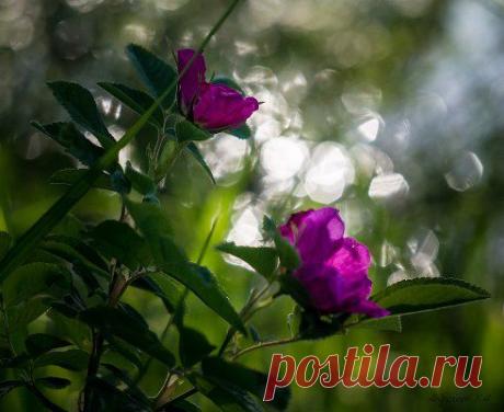 Зыряновск- это наш город! – Вячеслав Андреянов добавил фотографию в альбом фотографии Андреянова Вячеслава. Вешняя,...