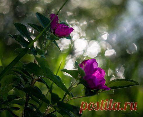 Зыряновск- это наш город! – Вячеслав Андреянов добавил фотографию в альбом фотографии Андреянова Вячеслава. Вешняя,...