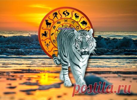 Что несет год водяного Тигра каждому знаку зодиака - ГОРНИЦА