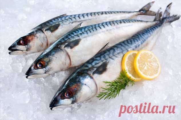 Как приготовить котлеты из скумбрии . Милая Я