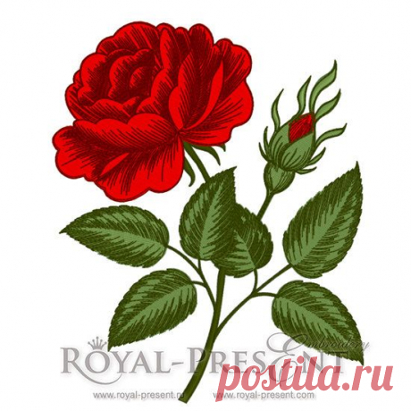 Machine Embroidery Designs - Vintage rose flower engraving calligraphic Victorian style - 2 in 1