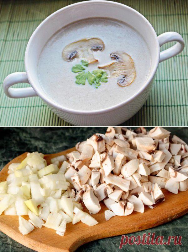 Foodclub — кулинарные рецепты с пошаговыми фотографиями - -суп из шампиньонов