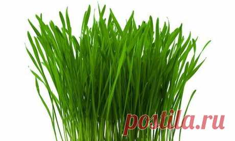 Мой Мир@Mail.Ru