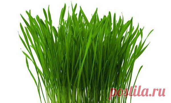 Мой Мир@Mail.Ru