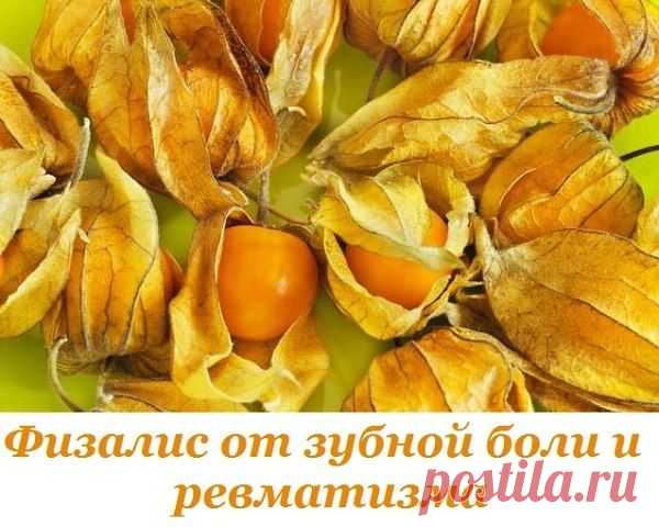 Физалис / Абсолютное здоровье