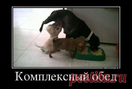 •●●★ УлЁтНоЕ ВиДеО ★●●• – Валерий Козяев добавил фотографию в альбом Разные приколы