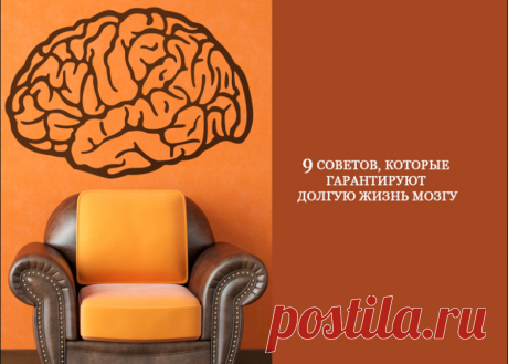 Советы, которые гарантируют долгую жизнь мозгу Предлагаем вашему вниманию 10 реальных советов по поводу того, как сохранить АКТИВНОСТЬ МОЗГА мозга на протяжении всей своей жизни на самом высоком уровне.