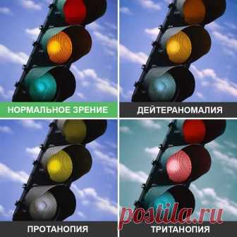 Вот как дальтоники видят мир