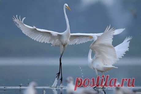 Остановись мгновенье - ты прекрасно.