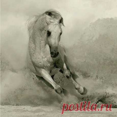 (9) Facebook