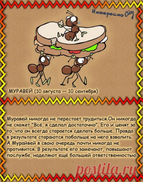 ИнтересноCity