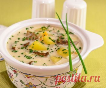 Рецепт сырного супа с белыми грибами