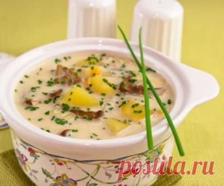 Рецепт сырного супа с белыми грибами