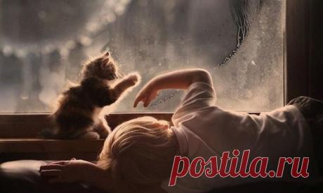 В Кузбассе выпавшая с 9-го этажа 3-летняя девочка  выжила