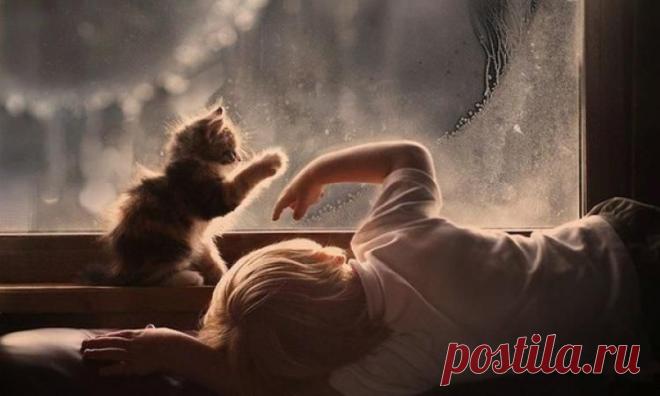 В Кузбассе выпавшая с 9-го этажа 3-летняя девочка  выжила