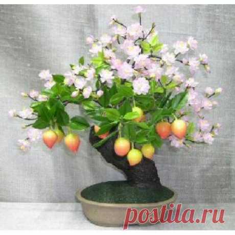 Prunus Artificial Bonsai Tree Magnificently created to look just like a flowering prunus tree, this amazing artificial bonsai has shimmering pink leaves and multi-colored fruit.  |  Pinterest • Всемирный каталог идей