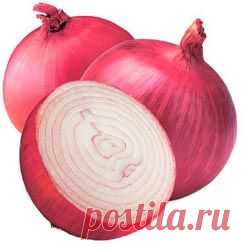 Лук: полезные свойства