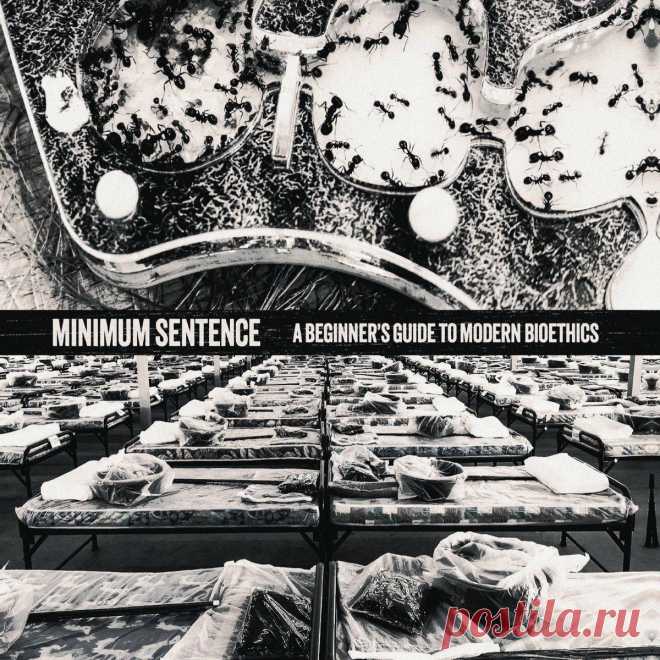 Minimum Sentence - A Beginner's Guide to Modern Bioethics (2025) 320kbps / FLAC