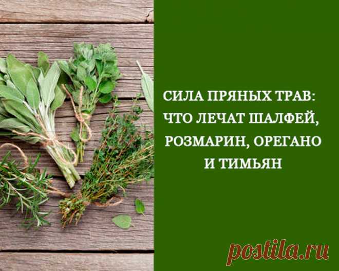 В чём сила пряных трав Обязательно включите в свой рацион ароматические травы, если для вас характерен любой из симптомов, описанных в этой статье.