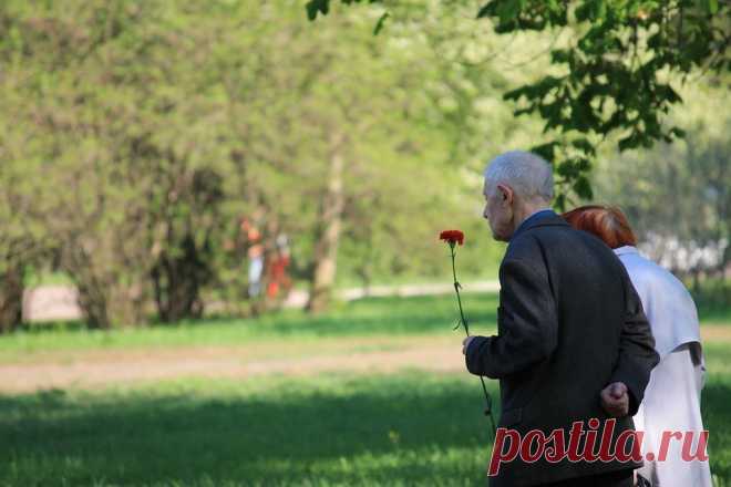 Инструкция: как узнать, где воевал родственник в Великую Отечественную войну Варианты поиска информации о наградах и боевом пути участников ВОВ