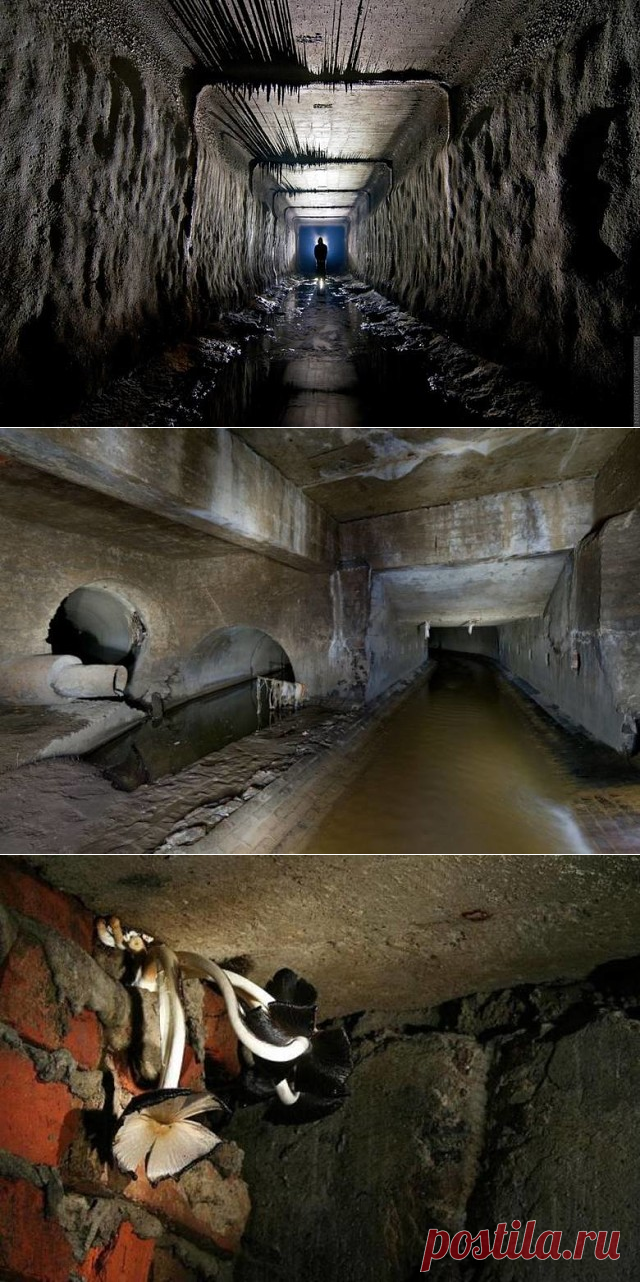 Москва подземная: Подземные существа - 