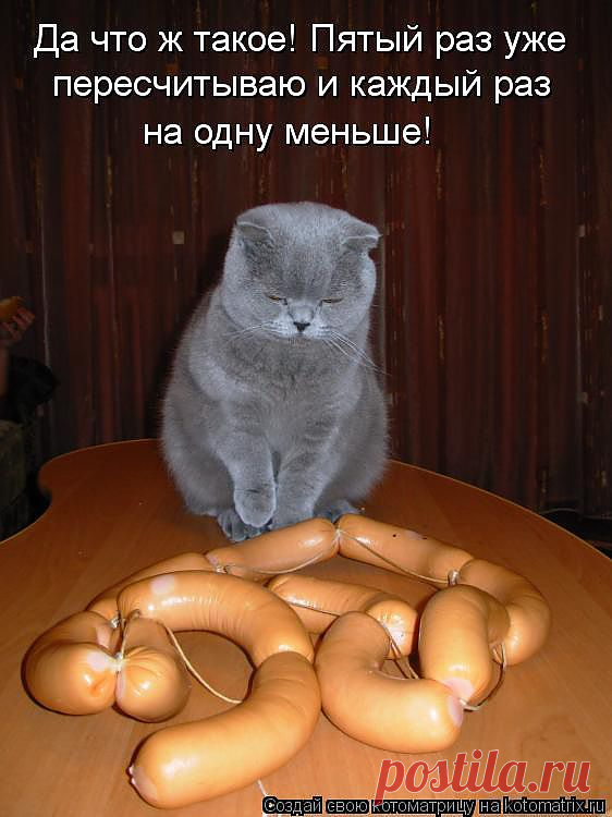 Счетовод.