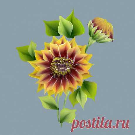 Рисунки плоской кистью от Юлии Белей
