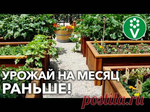 ТЁПЛЫЕ ВЫСОКИЕ ГРЯДКИ ГОТОВЬТЕ ОСЕНЬЮ! Вот КАК их сделать и применять!