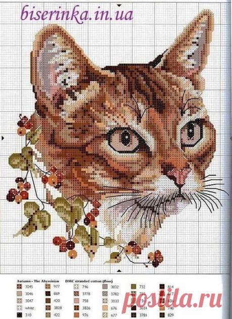 Коты и кошки. ЧАСТЬ 5 / Вышивка / Схемы вышивки крестом