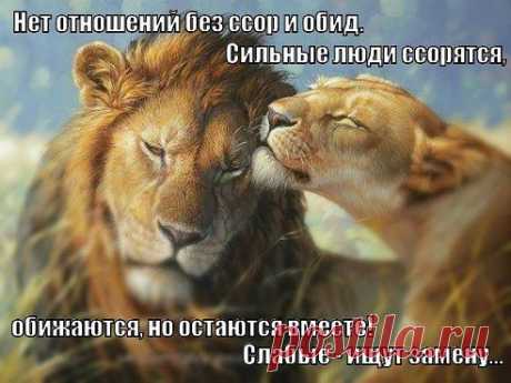 Зарабатывать деньги в интернете можно и НУЖНО... в содружестве с мозгами, душой, хорошим настроением и Вместе с Другими Людьми.
Благосостояние каждого. Все участники получают подарок несмываемую  маску от солнечных лучей
Легально. С 2012 года  МАЯ бизнес тренинг стоимость 50,00 гон Записывайтесь 0505435343