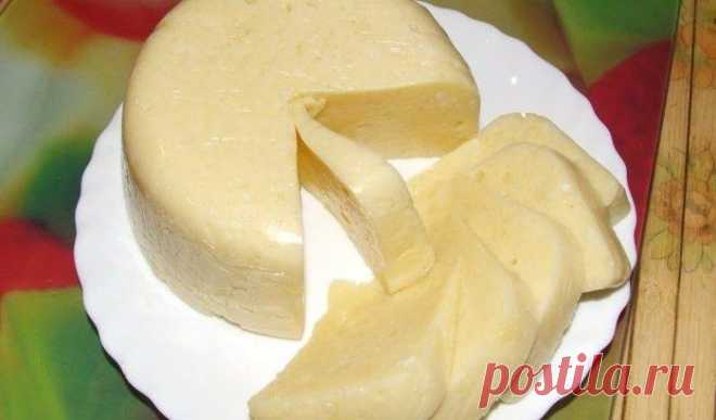 Домашний сыр за 3 часа! Невероятно вкусный сыр, который содержит только натуральные продукты и ничего лишнего ---