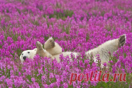 Мой Мир@Mail.Ru