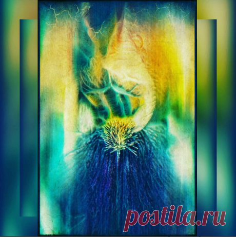 Лидия Киприч (@lidiiakiprich) • Фото и видео в Instagram