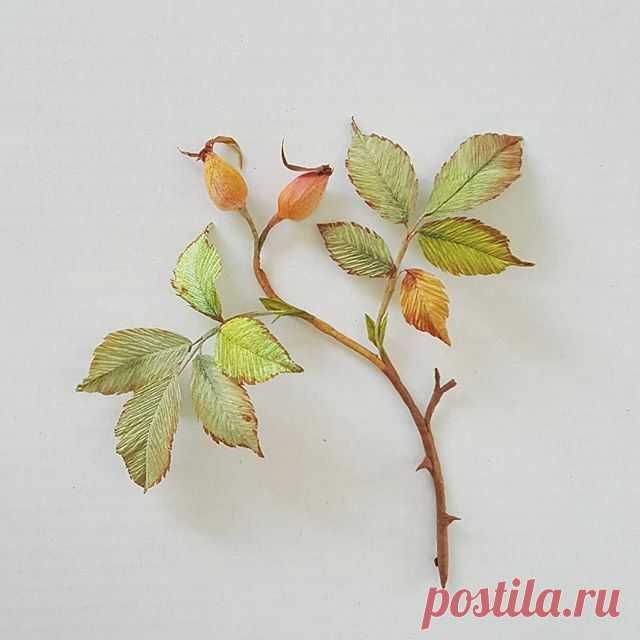 A little Autumnal 