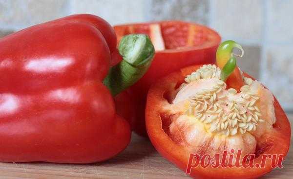 Выращиваем перец - секреты легкого урожая