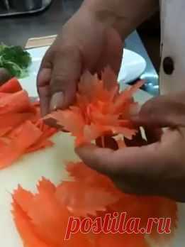 (4) Facebook