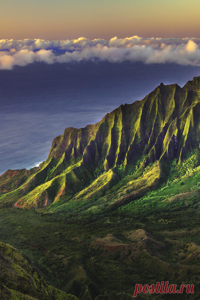 A Confluence of Whimsy & Design — wnderlst: Kauai, Hawaii | Joshua King