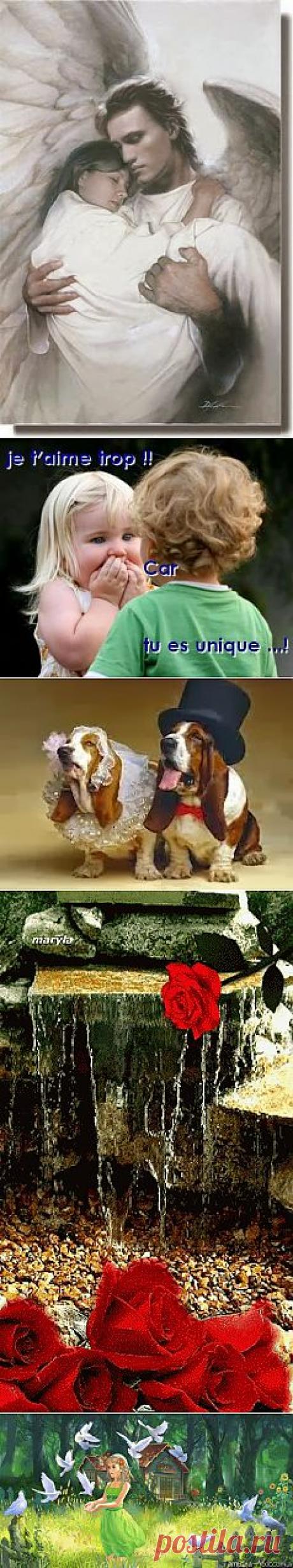 WORLDMATRIMONY - Topluluk - Google+