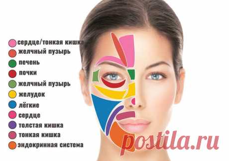 Панорама лица человека: Искусство диагностики болезней по лицу - Журнал Советов “Нет ничего тайного, которое не стало бы явным”. Поэтому любая патология обязательно проявится на лице. “Древняя восточная медицина исходила из того, что организм целостен, и центром органически целого являются “главные органы”, которые связаны с другими частями тела и кожей. Эта система связи проявляется в обмене энергии между внутренними органами и кожей, языком, глазами, ушами, носом, […]