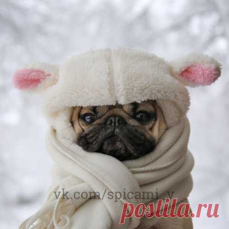 Что-то стало холодать...