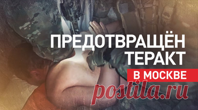 Убийца, наркоманы и нелегал: Киев завербовал неблагополучных граждан для совершения теракта в Москве. ФСБ предотвратила теракт, который планировала украинская разведка с использованием пары героиновых наркоманов, мигранта и убийцы. Злоумышленники собирались совершить атаку на кладбище в Москве, чтобы максимизировать ущерб и жертвы среди граждан. Наркозависимых вербовали через интернет под руководством разыскиваемого в России куратора, который находится на Украине с 2016 года. Трое…