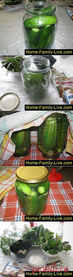 Кулинарные рецепты Маринованные огурцы -пошаговый фоторецепт - заготовка на зиму огурцы