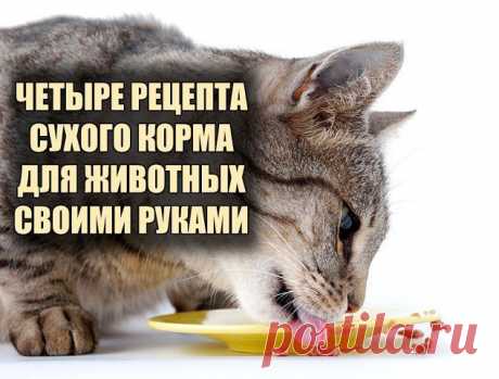 ЧЕТЫРЕ РЕЦЕПТА СУХОГО КОРМА ДЛЯ ЖИВОТНЫХ СВОИМИ РУКАМИ.
Если самой готовить, хоть есть чувство уверености, что кощечку кормишь хорошим кормом.
Рецепт 1

1 кг куриной печени (отечествен­ной). 300 г крекера. 5 ст. л. меда, 1 боль­шой пучок петрушки.
Все это поместить в блендер или пропустить через мясорубку, под­сушить в микроволновке минут 10. Вынуть и порезать на мелкие кусоч­ки. Выложить на противень фольгу и положить эти кусочки. Запекать при t 100″ С чуть больше часа, о...