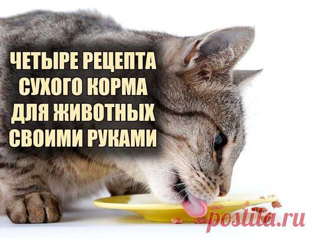 ЧЕТЫРЕ РЕЦЕПТА СУХОГО КОРМА ДЛЯ ЖИВОТНЫХ СВОИМИ РУКАМИ.
Если самой готовить, хоть есть чувство уверености, что кощечку кормишь хорошим кормом.
Рецепт 1

1 кг куриной печени (отечествен­ной). 300 г крекера. 5 ст. л. меда, 1 боль­шой пучок петрушки.
Все это поместить в блендер или пропустить через мясорубку, под­сушить в микроволновке минут 10. Вынуть и порезать на мелкие кусоч­ки. Выложить на противень фольгу и положить эти кусочки. Запекать при t 100″ С чуть больше часа, о...