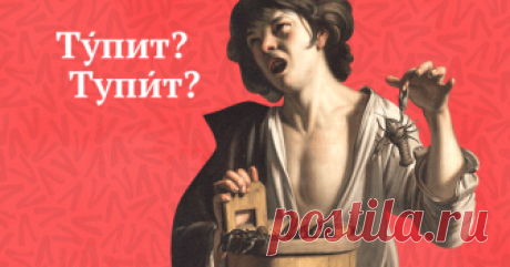 Мы иногда тупИм или тУпим? Проверьте, всё ли у вас в порядке с ударениями в глаголах Да, ошибиться в них просто, но мы в вас верим