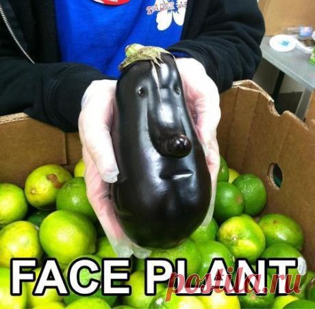 Найдено на сайте imgfave.com.